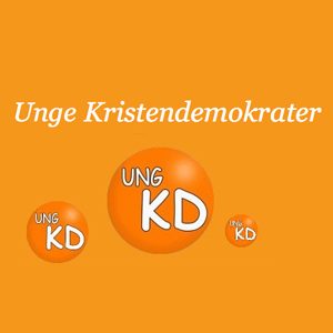 Unge Kristendemokrater